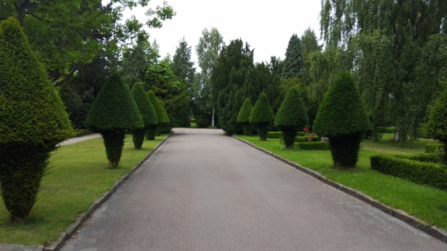 Bispebjerg 2017 (32) (640x360)